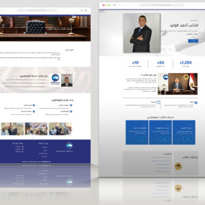 Ahmed Elwalid
